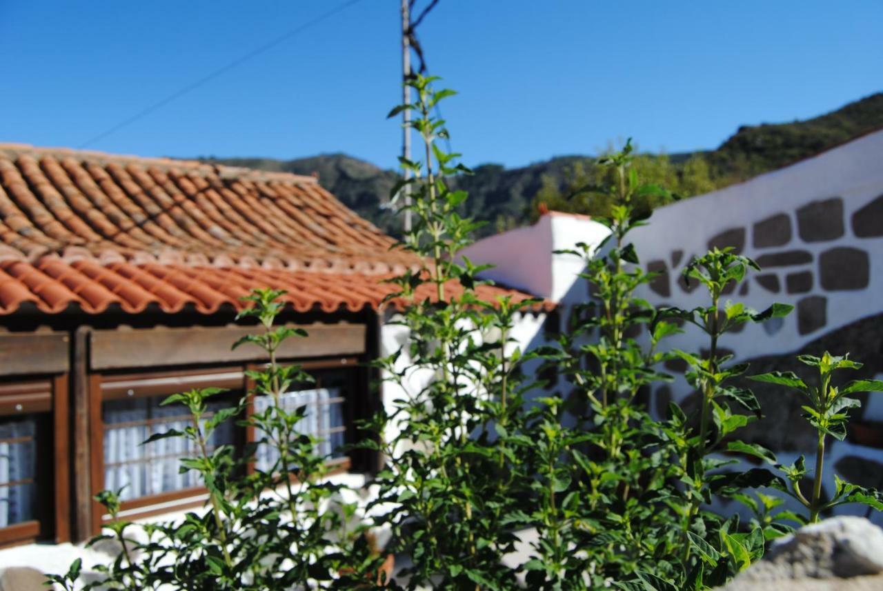 Ilusiones Villa Tejeda  Exterior photo